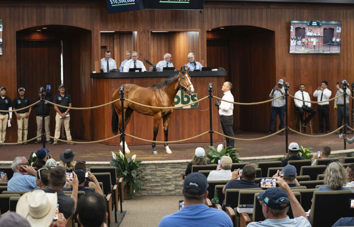 In the foreground people sitting in an auditorium. In the background, people standing behind a raised dais. Overhead a digital display with number, and the centered in age is a horse, with a man holding it to the right, standing on a raised platform before the audience.