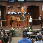 In the foreground people sitting in an auditorium. In the background, people standing behind a raised dais. Overhead a digital display with number, and the centered in age is a horse, with a man holding it to the right, standing on a raised platform before the audience.