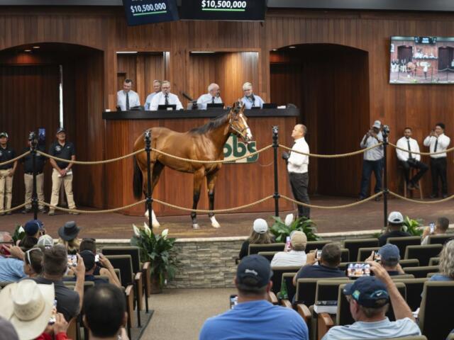 In the foreground people sitting in an auditorium. In the background, people standing behind a raised dais. Overhead a digital display with number, and the centered in age is a horse, with a man holding it to the right, standing on a raised platform before the audience.