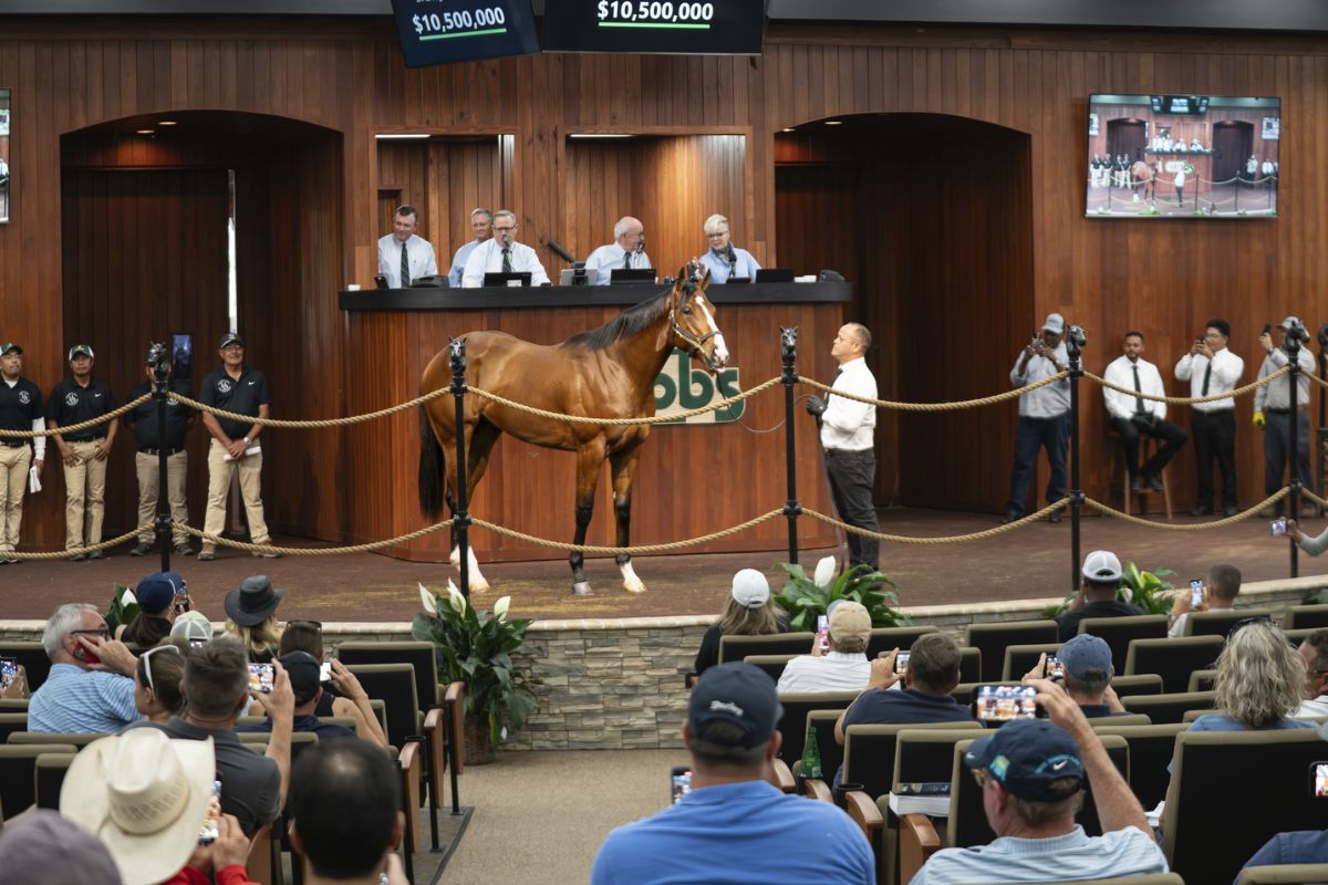 In the foreground people sitting in an auditorium. In the background, people standing behind a raised dais. Overhead a digital display with number, and the centered in age is a horse, with a man holding it to the right, standing on a raised platform before the audience.