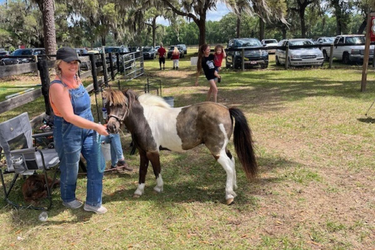 A woman on the left and to her right a miniature horse, in the background, to the left paddock fencing, in the center trees, a woman walking and cars to the right.