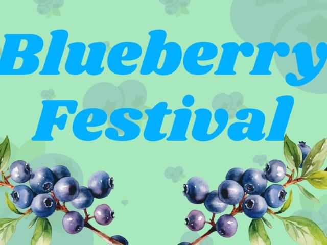 "Blueberry Festival" written in large blue letters on a green background with blueberry graphics around the picture.