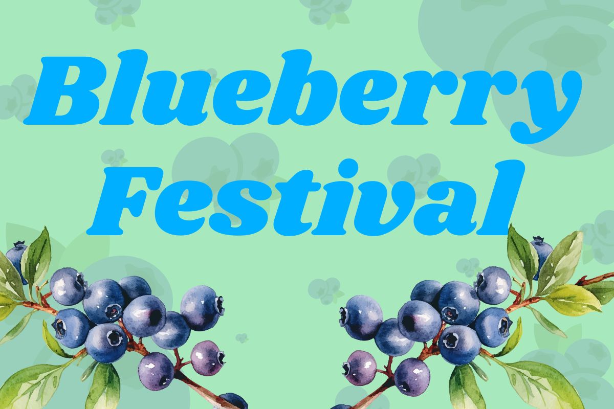 "Blueberry Festival" written in large blue letters on a green background with blueberry graphics around the picture.