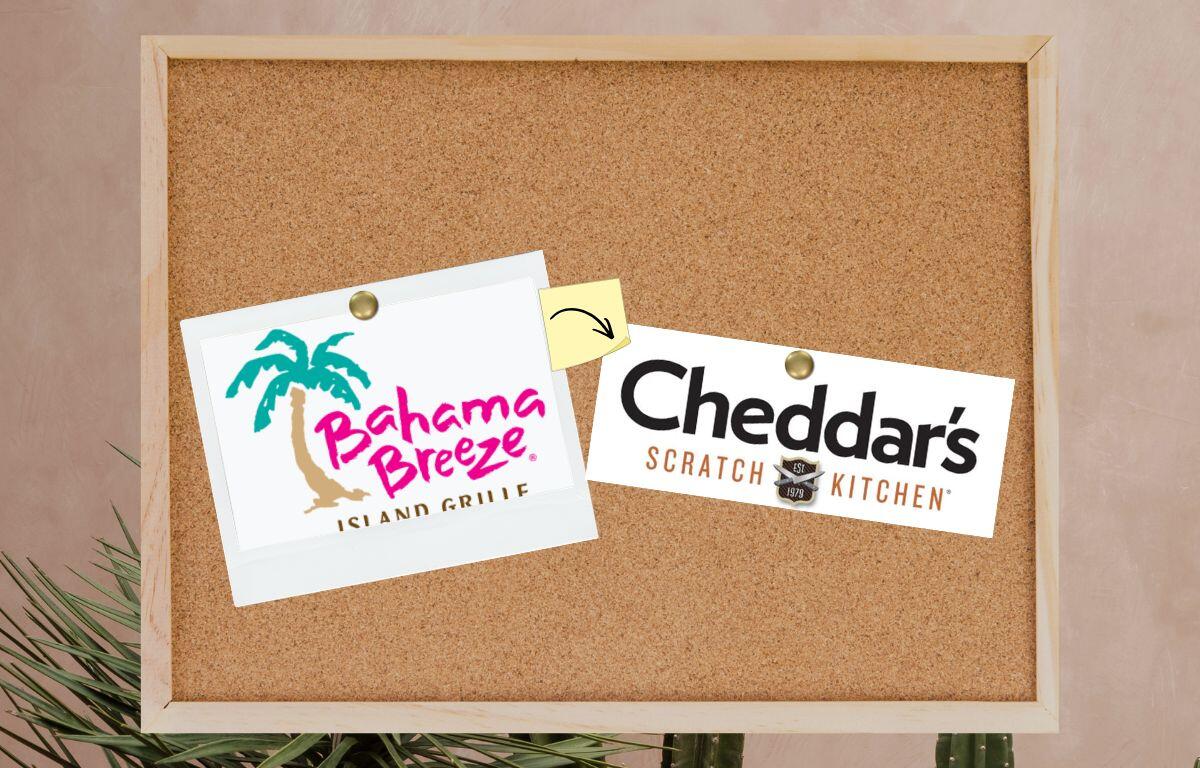 Corkboard with two logos, Bahama Breeze and Cheddars.
