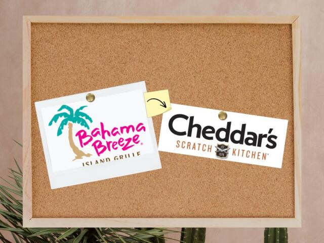 Corkboard with two logos, Bahama Breeze and Cheddars.
