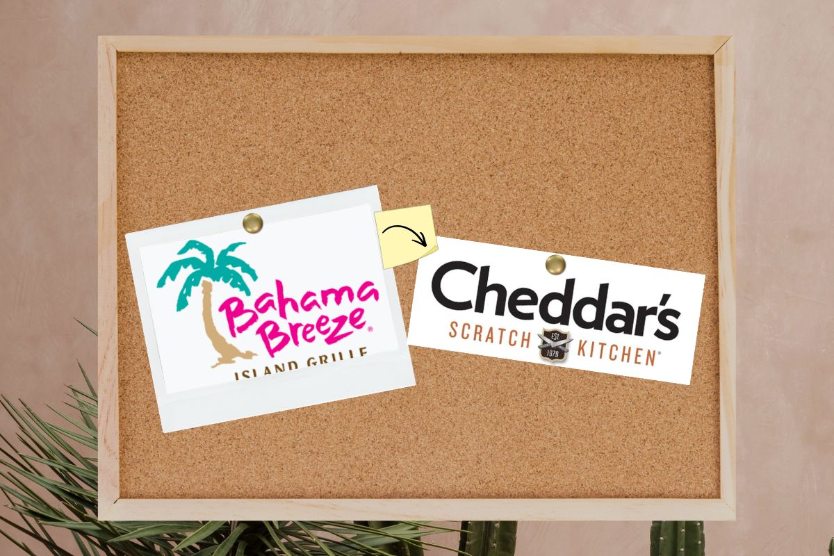 Corkboard with two logos, Bahama Breeze and Cheddars.