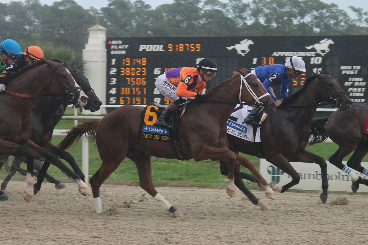 Horse racing in front of a tote board over a dirt surface. 