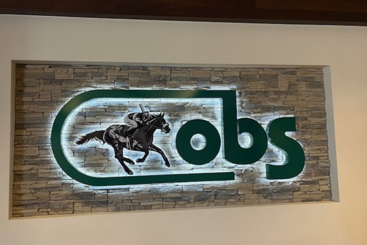 A beige wall in the background, with a wall relief with the image of a horse and lettering. 