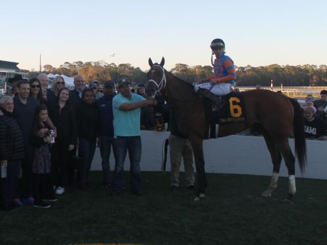 People to the left, with a racetrack, people and a tree line in the background, with a horse and rider up to the right.