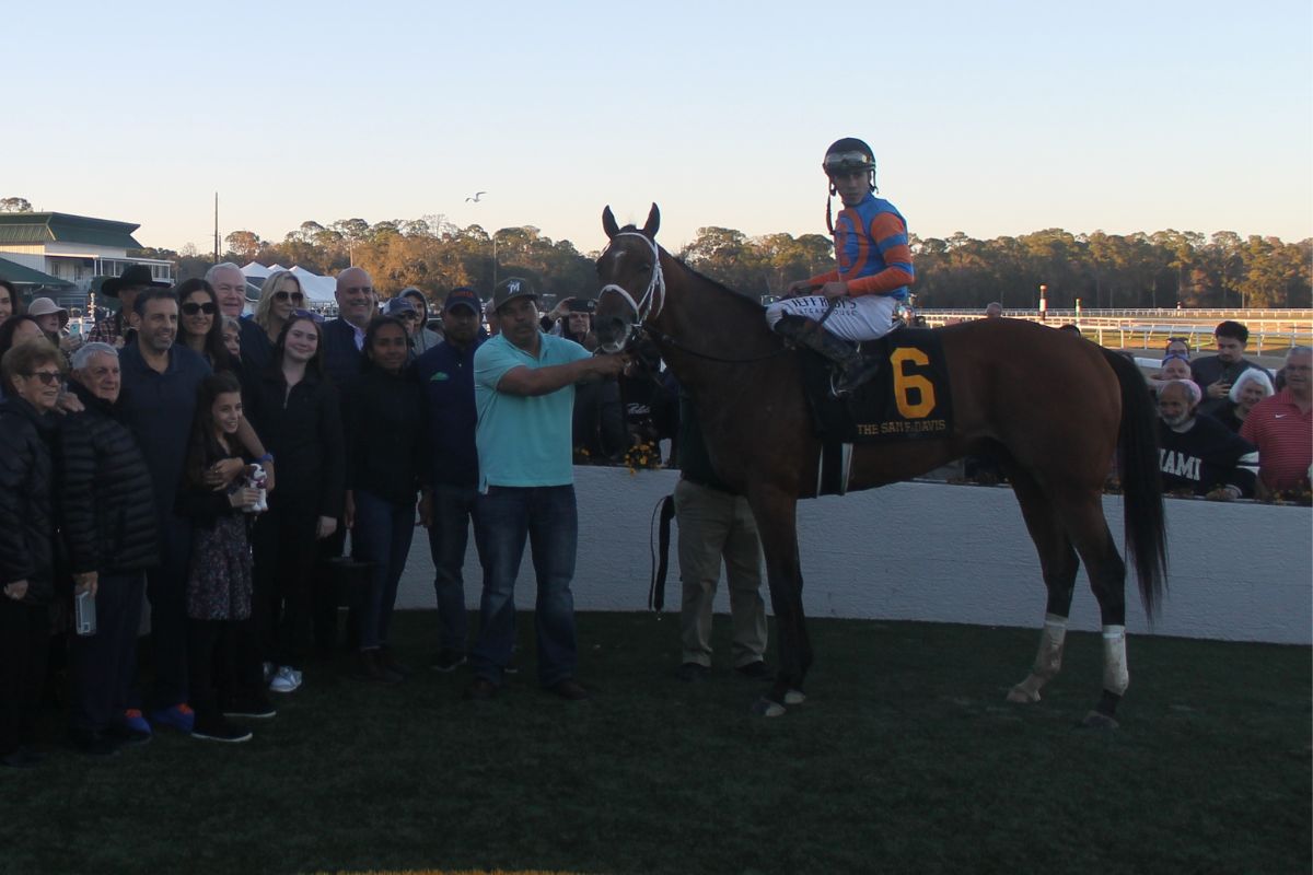 People to the left, with a racetrack, people and a tree line in the background, with a horse and rider up to the right.