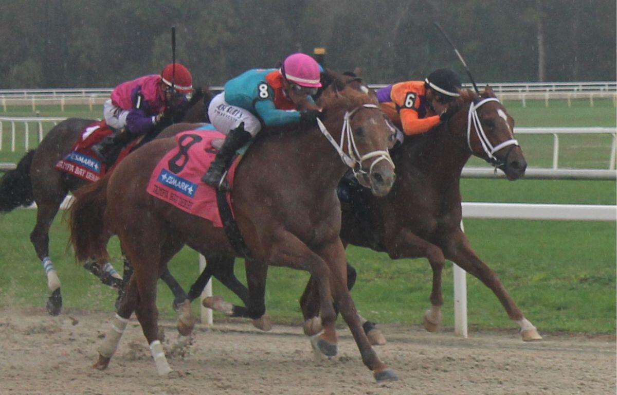 Horses race in colorful silks over a dirt surface with the turf course in the background.