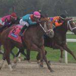 Horses race in colorful silks over a dirt surface with the turf course in the background.