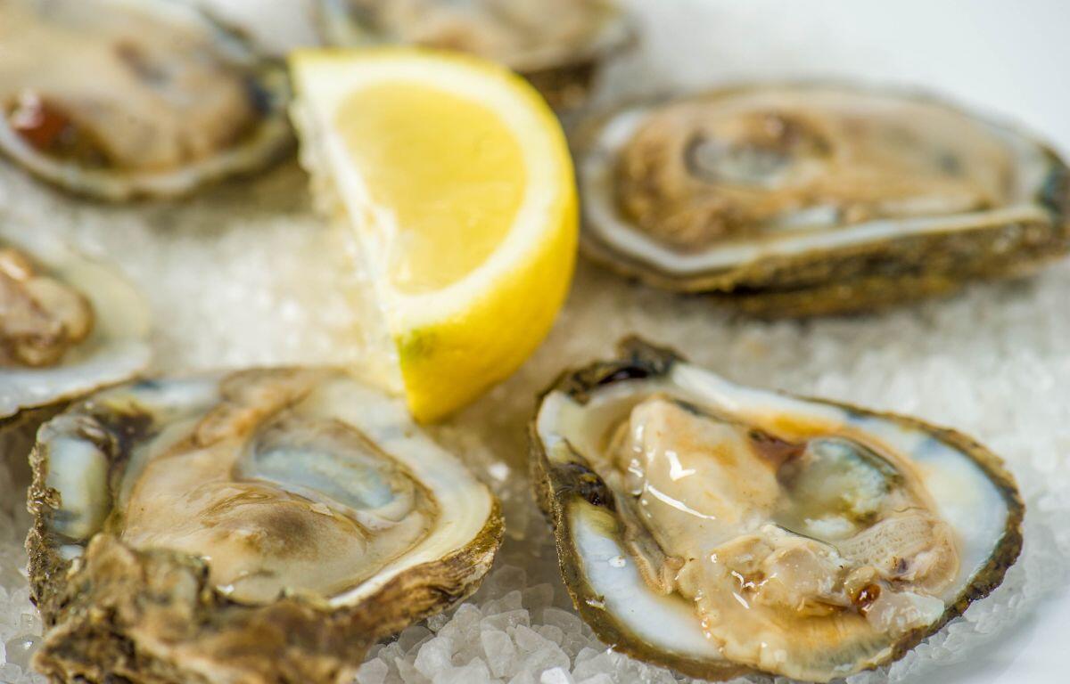 Five oysters laying on crushed ice, with a lemon garnished in the center.
