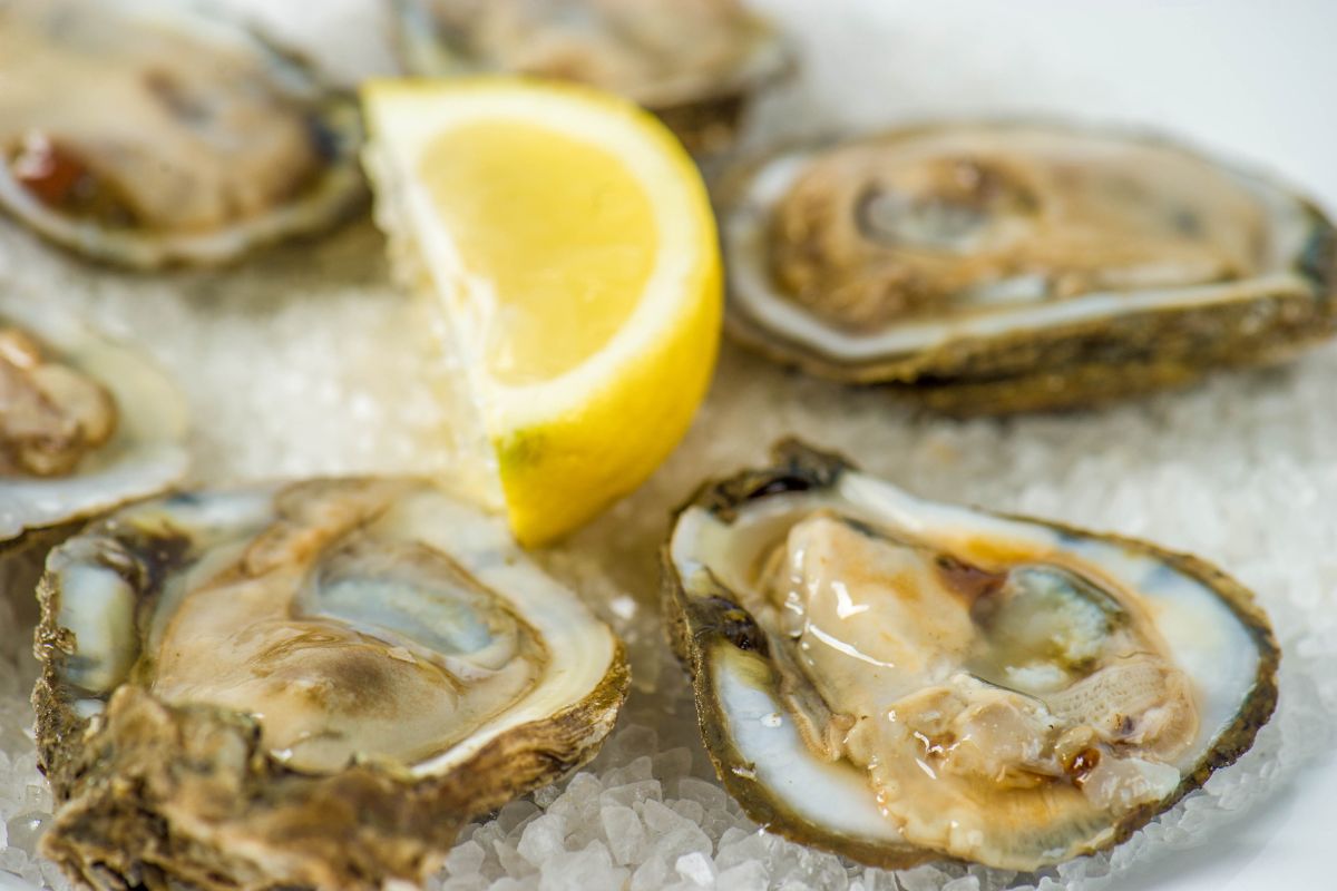 Five oysters laying on crushed ice, with a lemon garnished in the center.