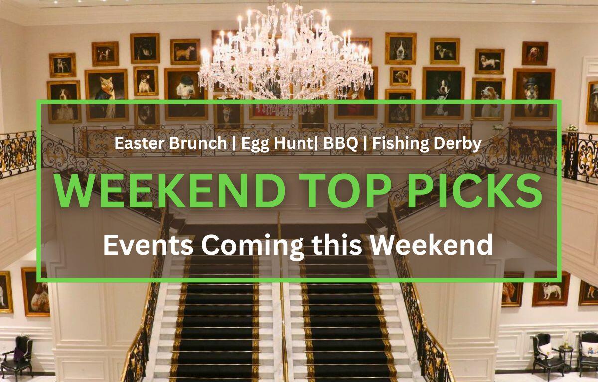 A grand staircase leads up to a second floor of a large, white manor. Paintings of dogs line the wall behind the stairs on the second floor. A large chandelier hangs above the staircase.