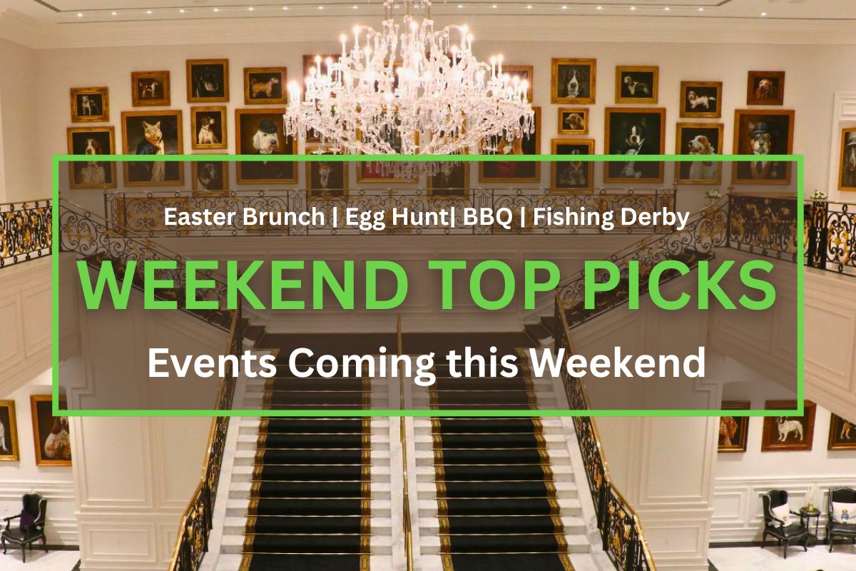 A grand staircase leads up to a second floor of a large, white manor. Paintings of dogs line the wall behind the stairs on the second floor. A large chandelier hangs above the staircase.