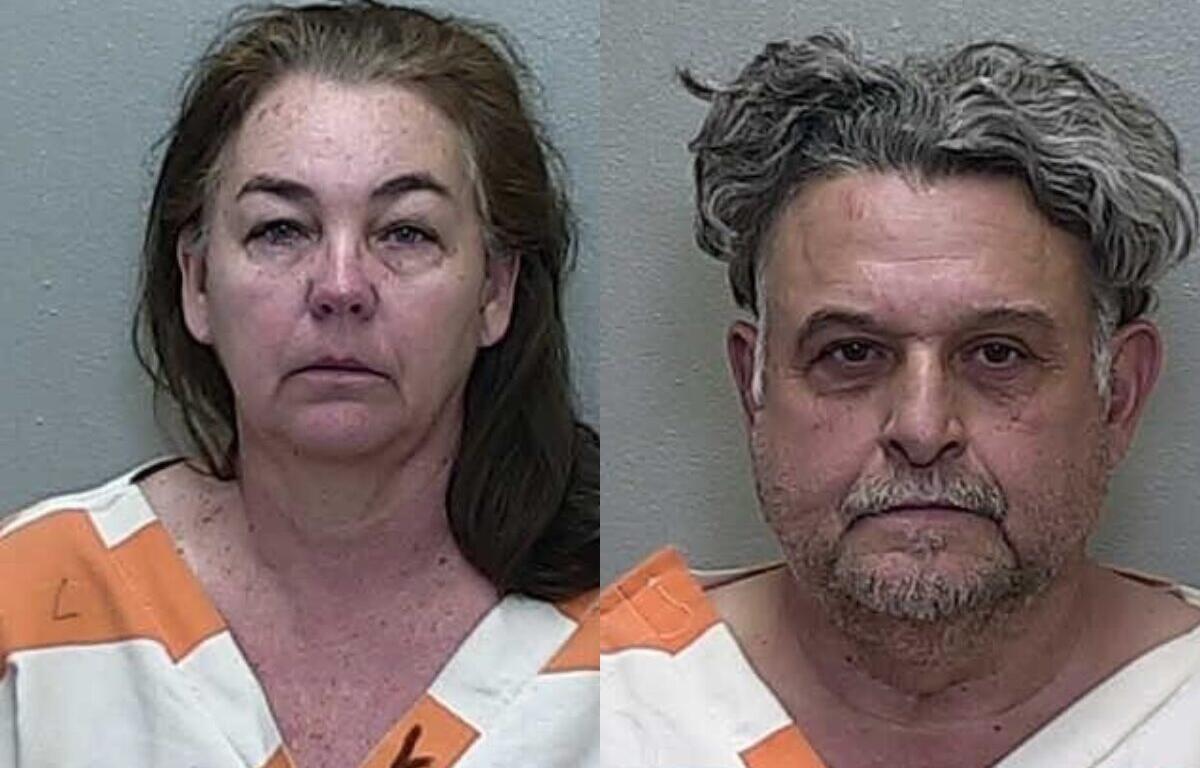 happy valley horse rescue ocala janine chaux david palacio