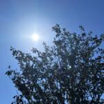 weather ocala florida sunny