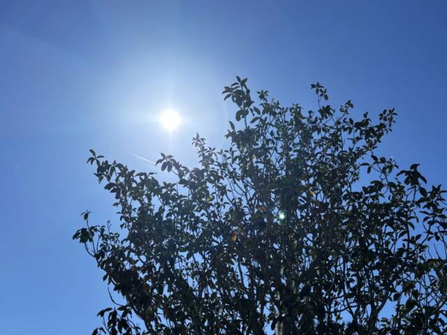 weather ocala florida sunny