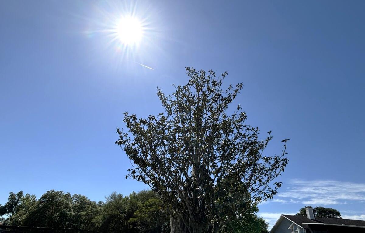 sunshine summerfield marion county florida