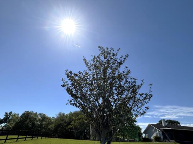 sunshine summerfield marion county florida