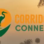 florida wildlife corridor connect logo