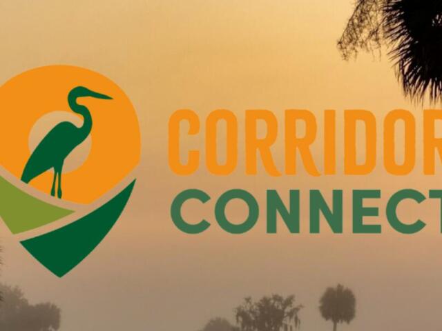 florida wildlife corridor connect logo
