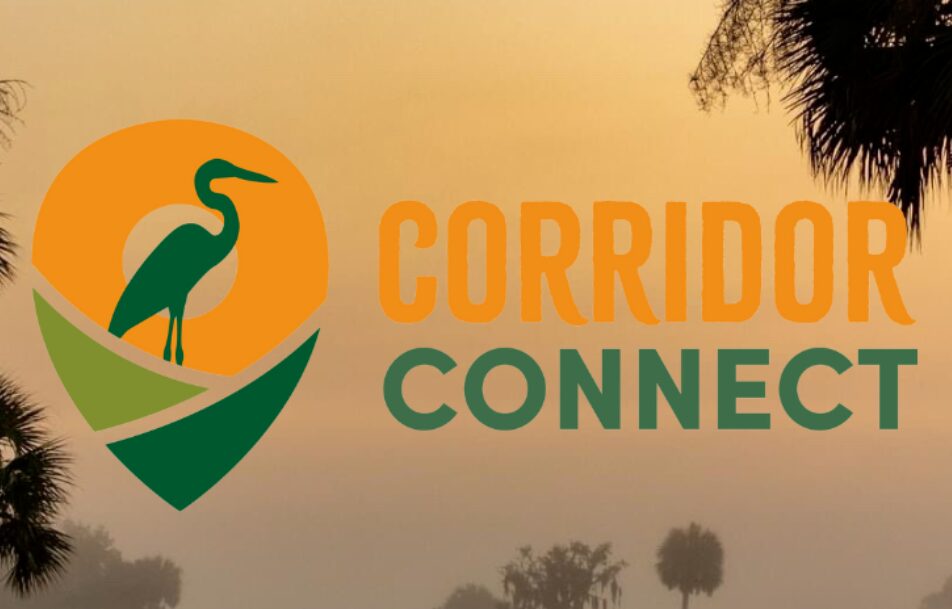 florida wildlife corridor connect logo