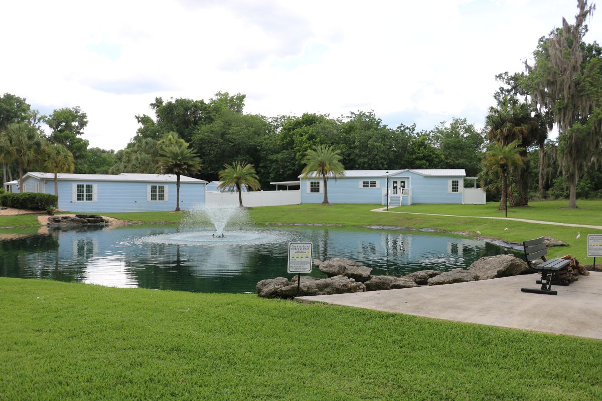 Two blue building sit in the distance with a large pond in front of them. A concrete patio with a bench sits along the pond.
