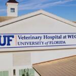 A white building that reads, "UF Veterinary Hospital at WEC, University of Florida."