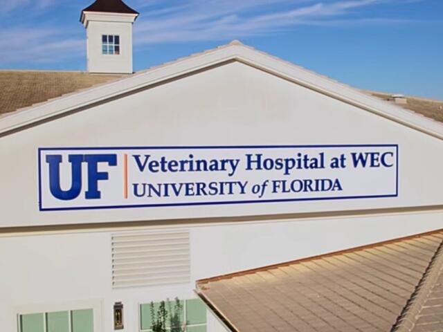 A white building that reads, "UF Veterinary Hospital at WEC, University of Florida."