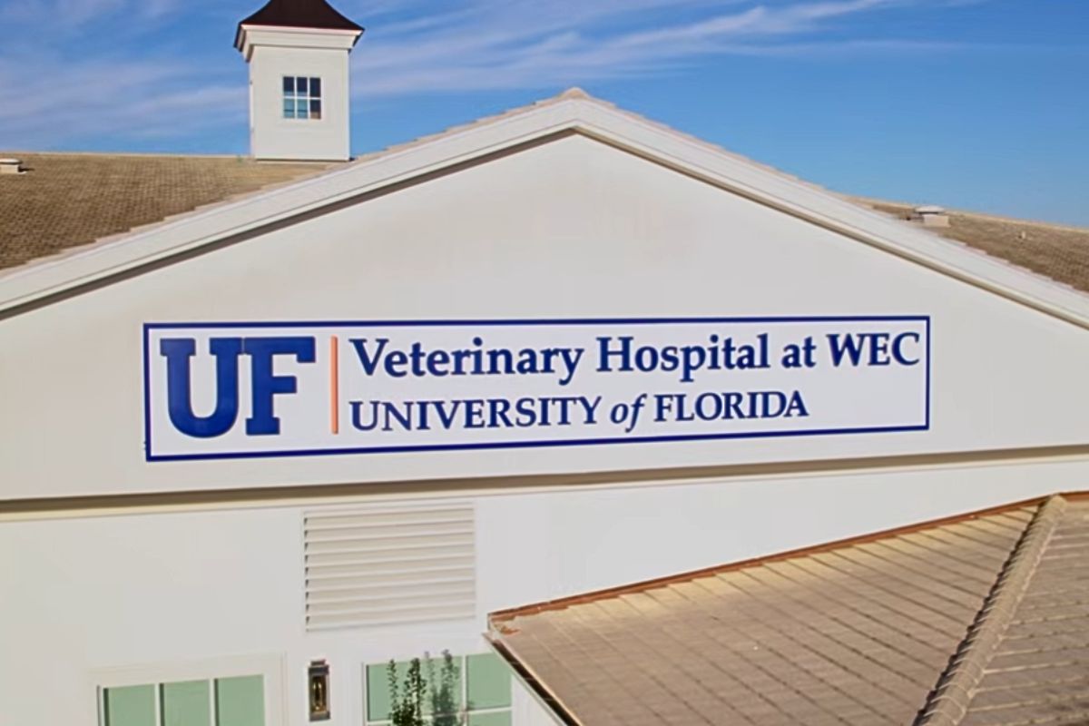 A white building that reads, "UF Veterinary Hospital at WEC, University of Florida."