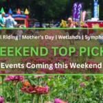 Outdoor festival in a park with pink zinnias in the foreground and people visiting tents and banners in the background, sunny day. In the foreground is a brown box with a green border. White and green text inside of the box read, "Bull Riding | Mother's Day | Wetlands | Symphony. WEEKEND TOP PICKS. Events Coming this Weekend."