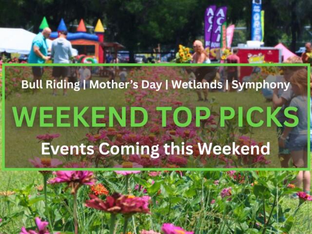 Outdoor festival in a park with pink zinnias in the foreground and people visiting tents and banners in the background, sunny day. In the foreground is a brown box with a green border. White and green text inside of the box read, "Bull Riding | Mother's Day | Wetlands | Symphony. WEEKEND TOP PICKS. Events Coming this Weekend."
