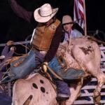 tampa rodeo ocala bull bash