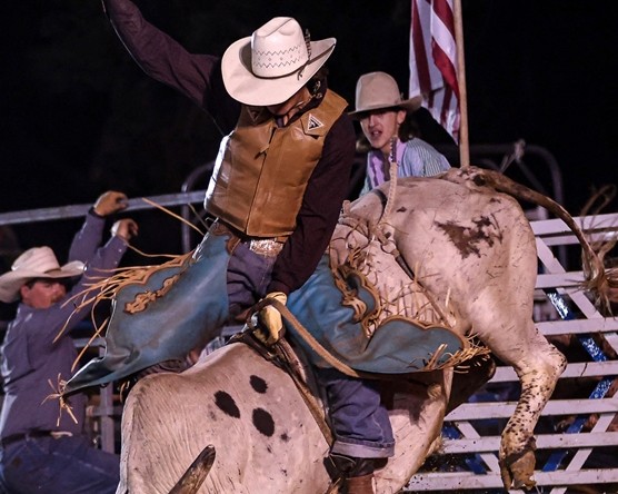 tampa rodeo ocala bull bash