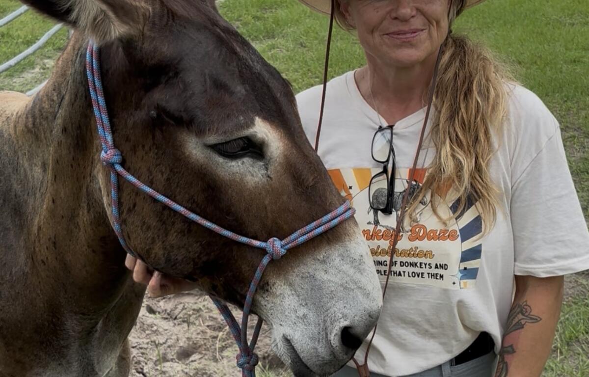 Woman in a wide-brimmed hat standing beside a brown donkey in a green pasture with wooden fencing in the background.