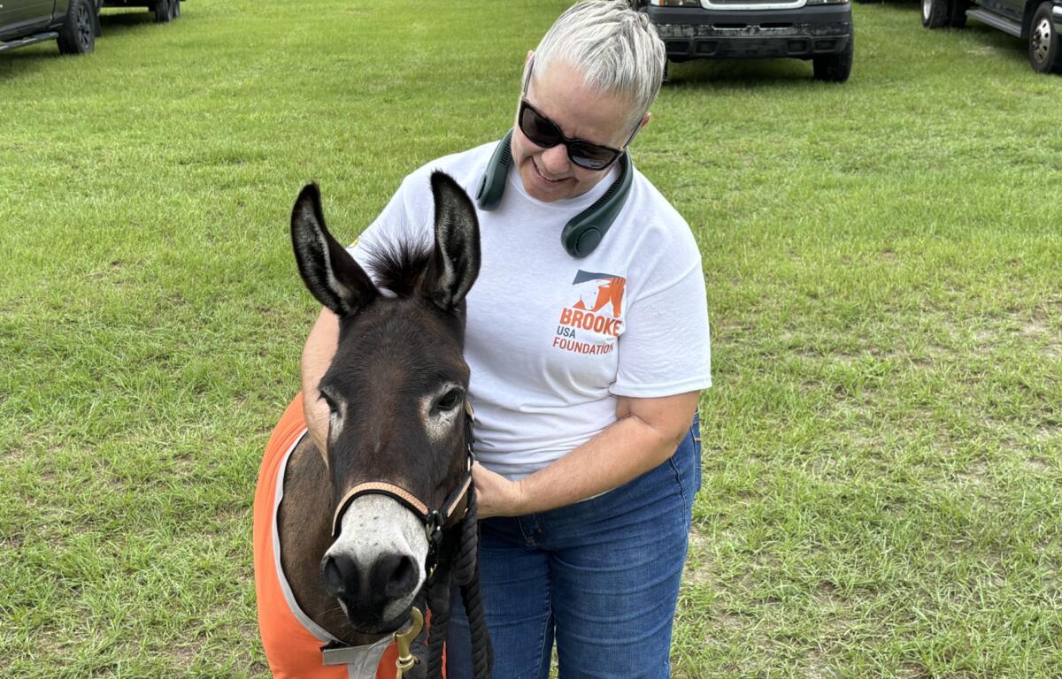Smiling woman in a Brooke USA Foundation T-shirt sits on a dark horse with an orange blanket in a grassy field, wearing sunglasses.