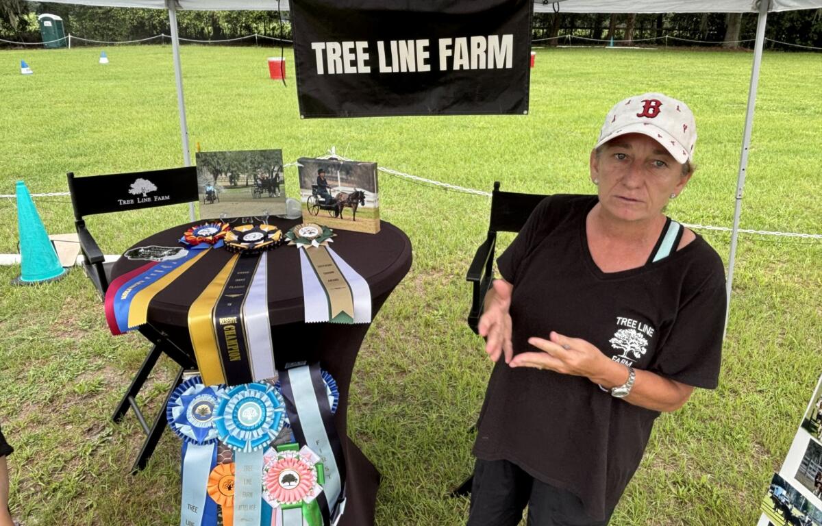 Woman in a black Tree Line Farm shirt under a canopy beside a display table of colorful ribbons, photos, and a large Tree Line Farm banner, outdoors on a grassy field.