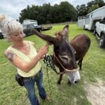 Karen Deconna with her donkey Peaches, who was adopted out of the Bureau of Land Management adoption program.
