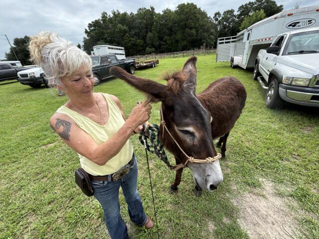 Karen Deconna with her donkey Peaches, who was adopted out of the Bureau of Land Management adoption program.