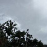 rain clouds thunderstorm downtown ocala florida
