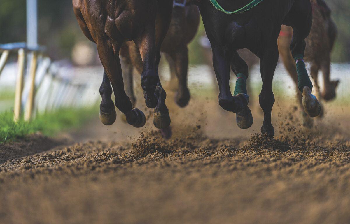 A colored image of a dirt racing track with two horses running side-by-side.
