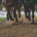 A colored image of a dirt racing track with two horses running side-by-side.