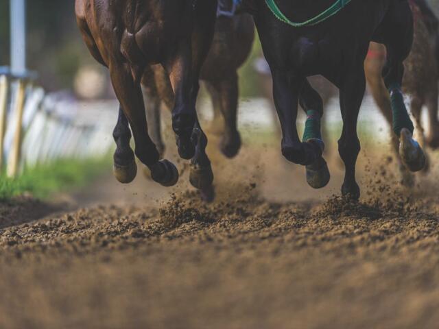 A colored image of a dirt racing track with two horses running side-by-side.