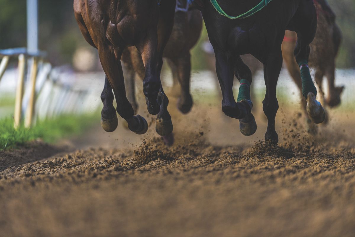 A colored image of a dirt racing track with two horses running side-by-side.