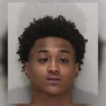 de'shawn williams vehicular homicide ocala florida