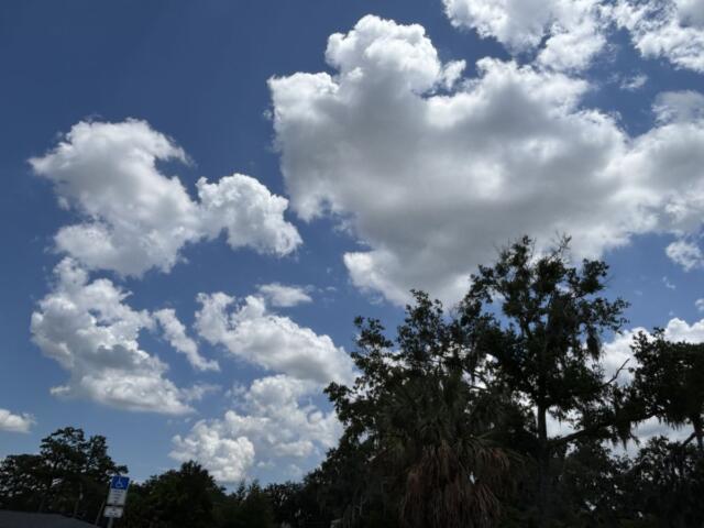 partly cloudy weather forecast ocala florida