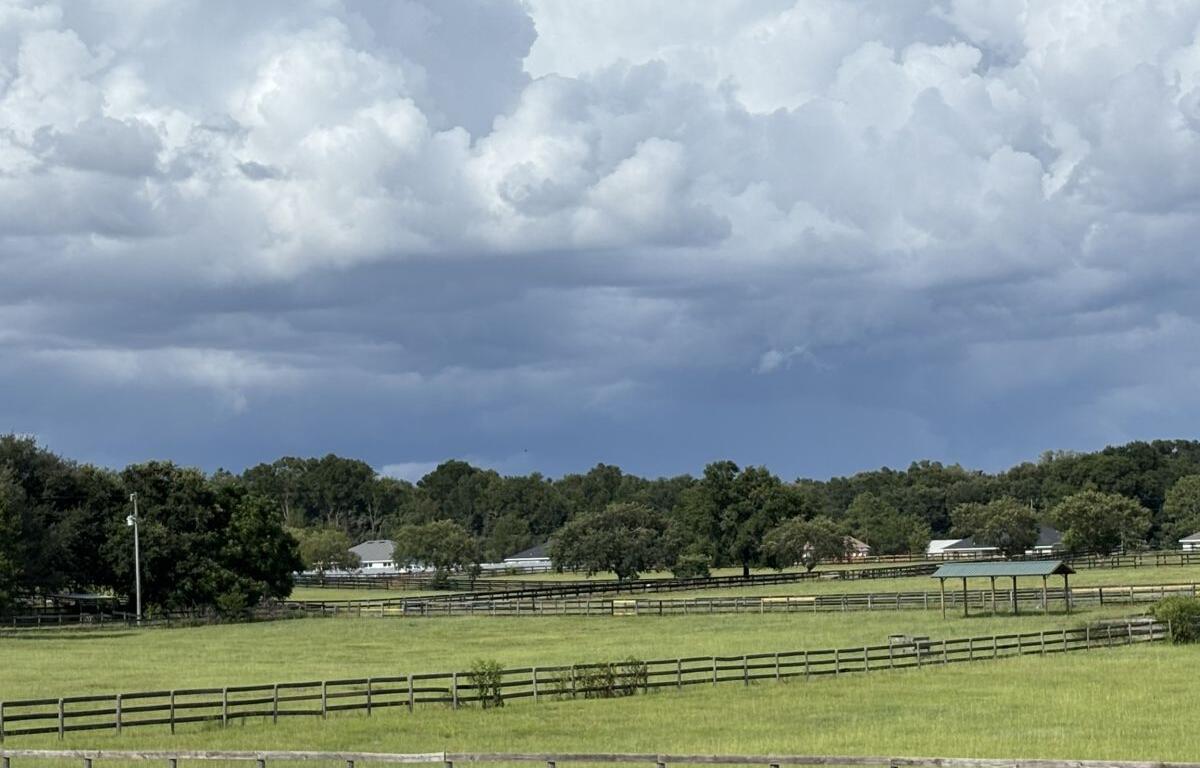 thunderstorm summer weather summerfield florida