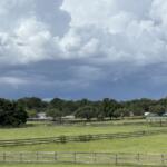 thunderstorm summer weather summerfield florida